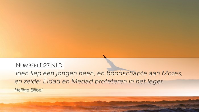 Numberi 11:27 NLD Desktop Wallpaper - Toen liep een jongen heen, en boodschapte aan - Desktop Bible Verse Wallpaper