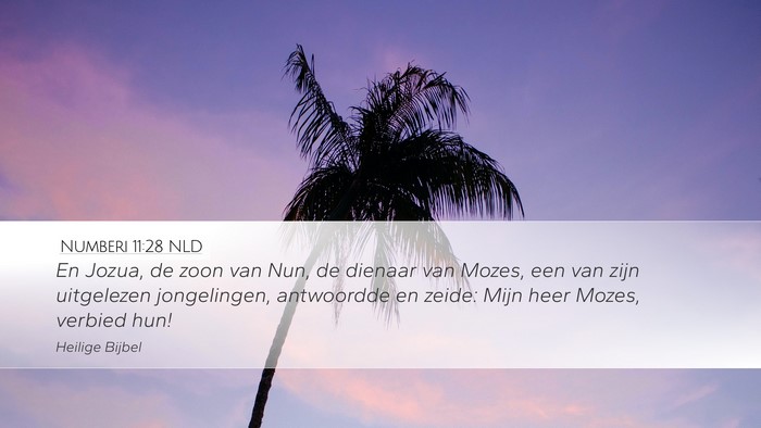 Numberi 11:28 NLD Bible Verse Image