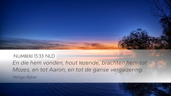 Numberi 15:33 NLD Bible Verse Image