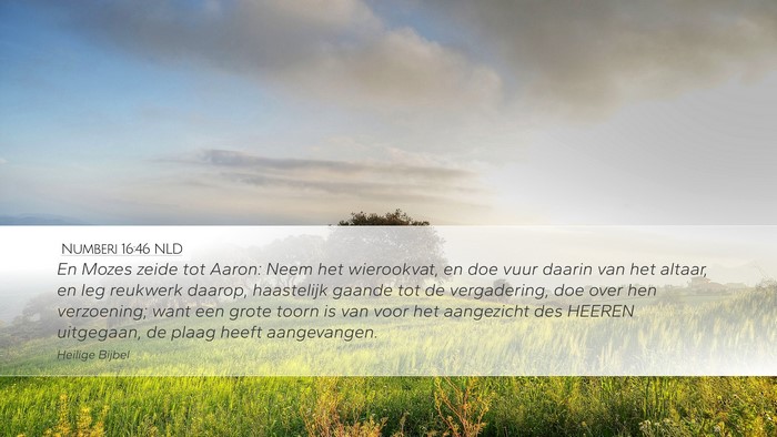 Numberi 16:46 NLD Bible Verse Image