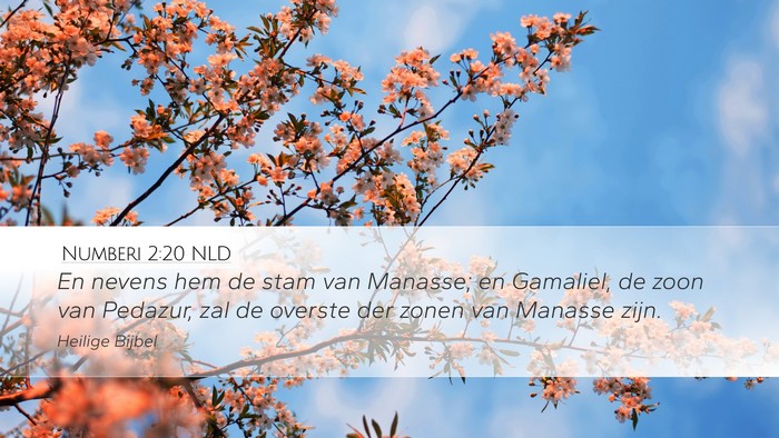 Numberi 2:20 NLD Bible Verse Image
