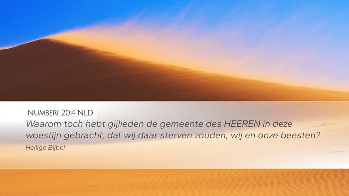 Numberi 20:4 NLD Bible Verse Image