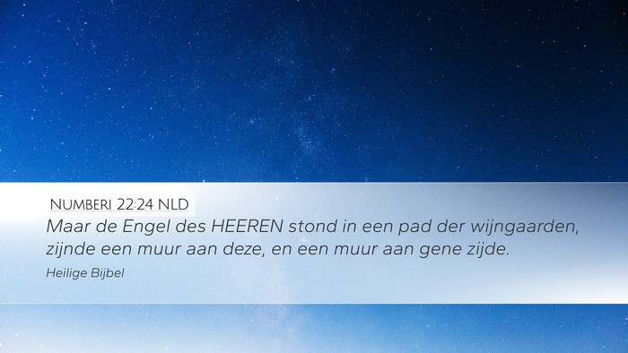 Numberi 22:24 NLD Desktop Wallpaper - Maar de Engel des HEEREN stond in een pad der - Desktop Bible Verse Wallpaper