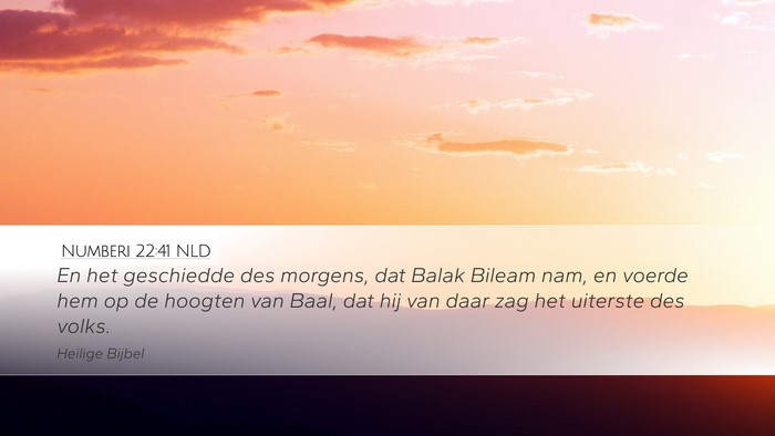 Numberi 22:41 NLD Bible Verse Image