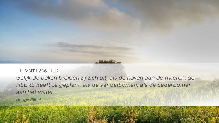 Numberi 24:6 NLD Desktop Wallpaper - Gelijk de beken breiden zij zich uit, als de - Desktop Bible Verse Wallpaper
