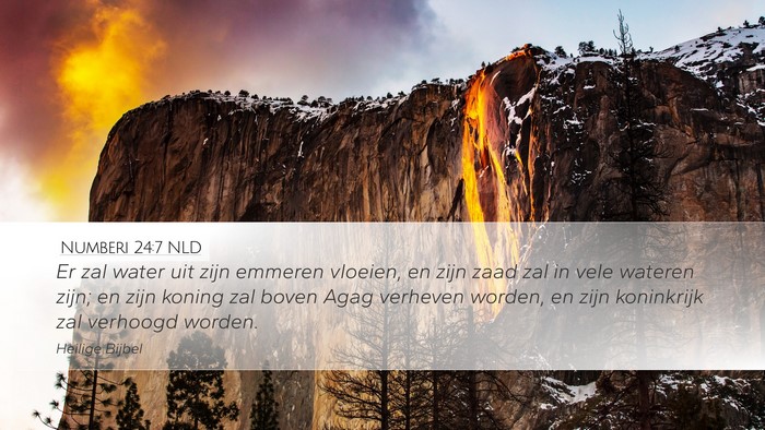Numberi 24:7 NLD Bible Verse Image
