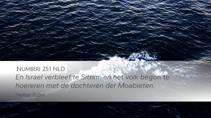 Numberi 25:1 NLD Bible Verse Image