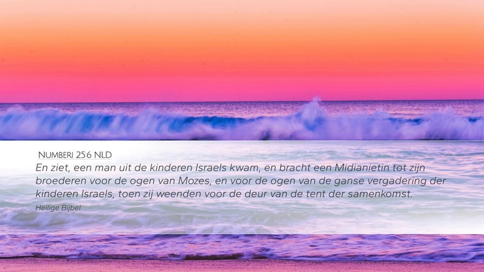 Numberi 25:6 NLD Bible Verse Image
