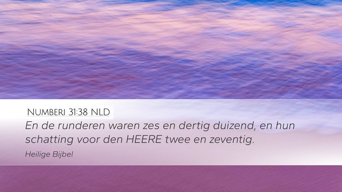 Numberi 31:38 NLD Desktop Wallpaper - En de runderen waren zes en dertig duizend, en - Desktop Bible Verse Wallpaper
