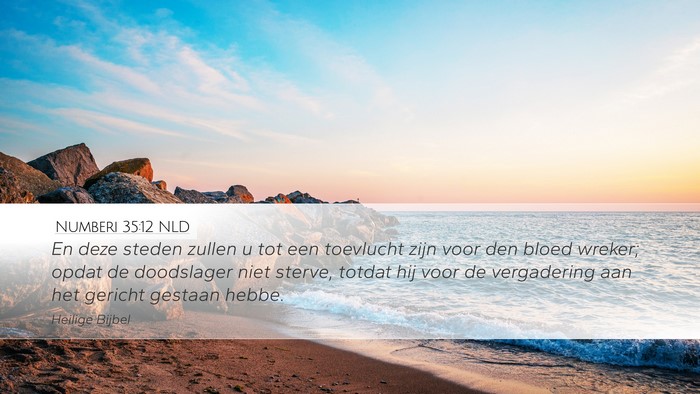 Numberi 35:12 NLD Bible Verse Image