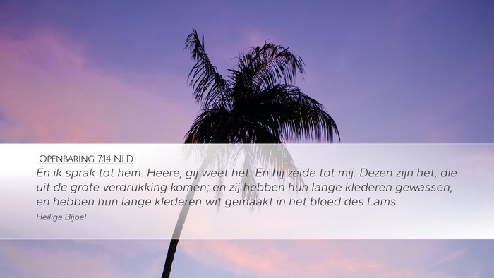 Openbaring 7:14 NLD Bible Verse Image