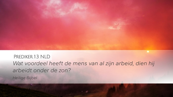Prediker 1:3 NLD Bible Verse Image