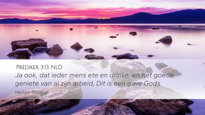 Prediker 3:13 NLD Desktop Wallpaper - Ja ook, dat ieder mens ete en drinke, en het - Desktop Bible Verse Wallpaper