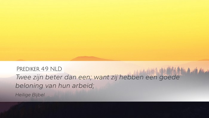 Prediker 4:9 NLD Bible Verse Image