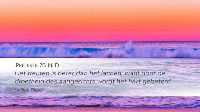 Prediker 7:3 NLD Bible Verse Image