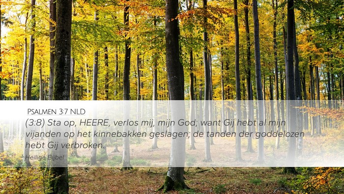 Psalmen 3:7 NLD Bible Verse Image