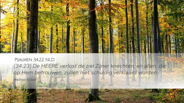 Psalmen 34:22 NLD Desktop Wallpaper - (34:23) De HEERE verlost de ziel Zijner knechten; - Desktop Bible Verse Wallpaper