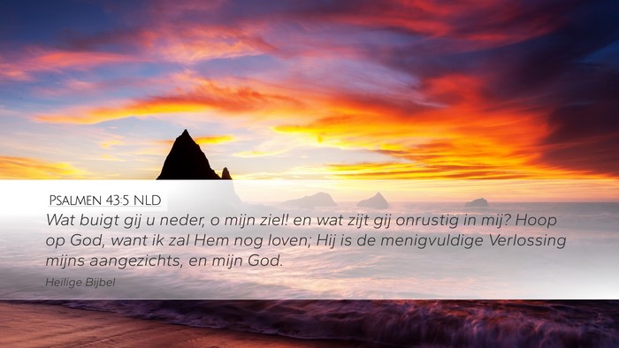 Psalmen 43:5 NLD Bible Verse Image