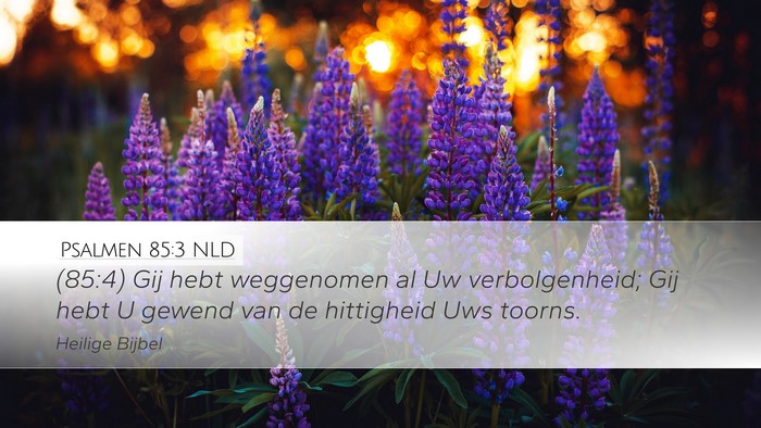 Psalmen 85:3 NLD Bible Verse Image