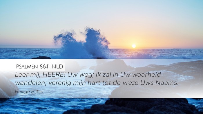 Psalmen 86:11 NLD Desktop Wallpaper - Leer mij, HEERE! Uw weg; ik zal in Uw waarheid - Desktop Bible Verse Wallpaper