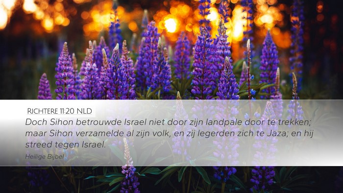 Richtere 11:20 NLD Bible Verse Image