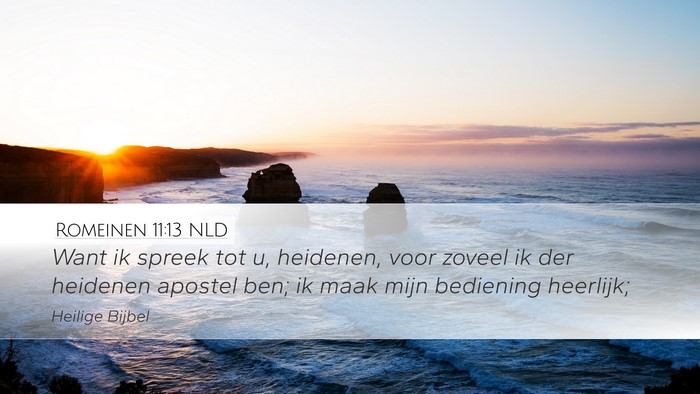 Romeinen 11:13 NLD Bible Verse Image
