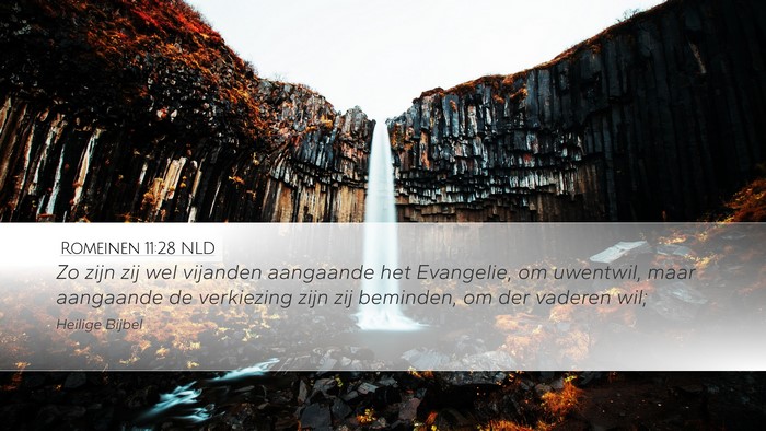 Romeinen 11:28 NLD Bible Verse Image