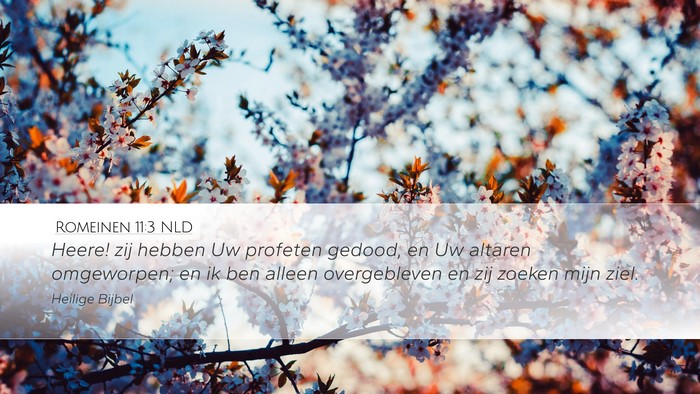 Romeinen 11:3 NLD Bible Verse Image