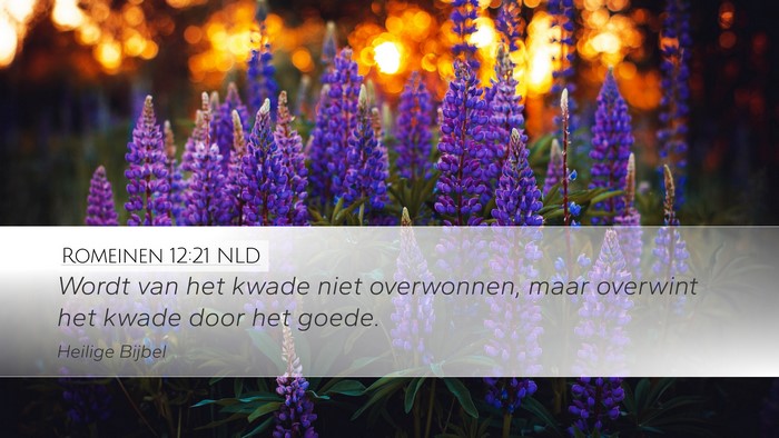 Romeinen 12:21 NLD Bible Verse Image
