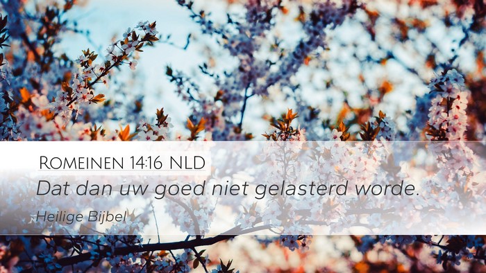 Romeinen 14:16 NLD Bible Verse Image