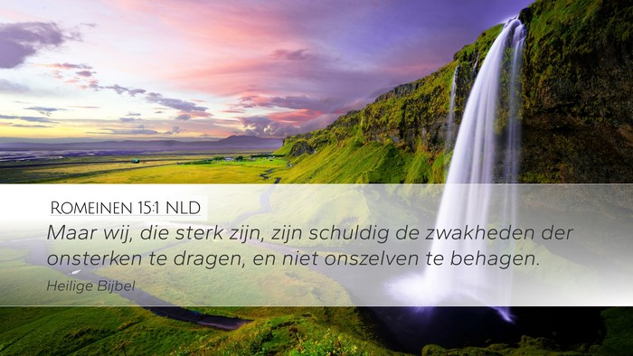 Romeinen 15:1 NLD Bible Verse Image