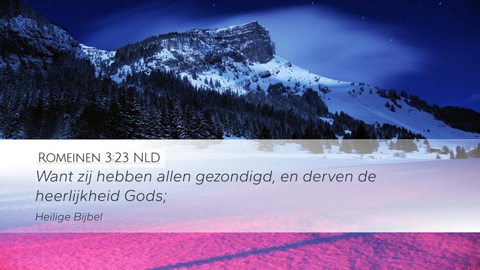 Romeinen 3:23 NLD Bible Verse Image