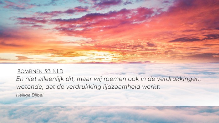 Romeinen 5:3 NLD Bible Verse Image