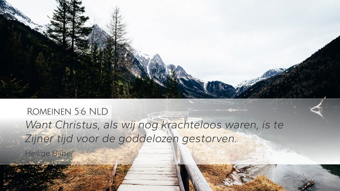 Romeinen 5:6 NLD Bible Verse Image