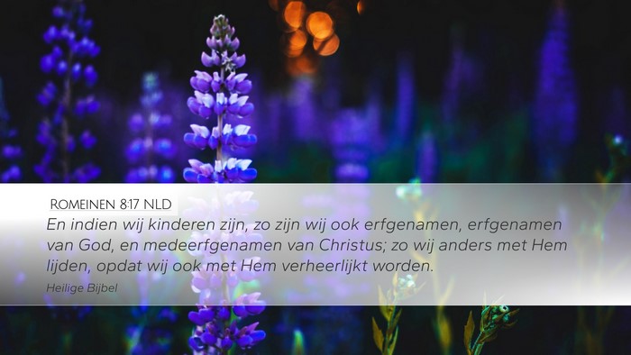 Romeinen 8:17 NLD Bible Verse Image