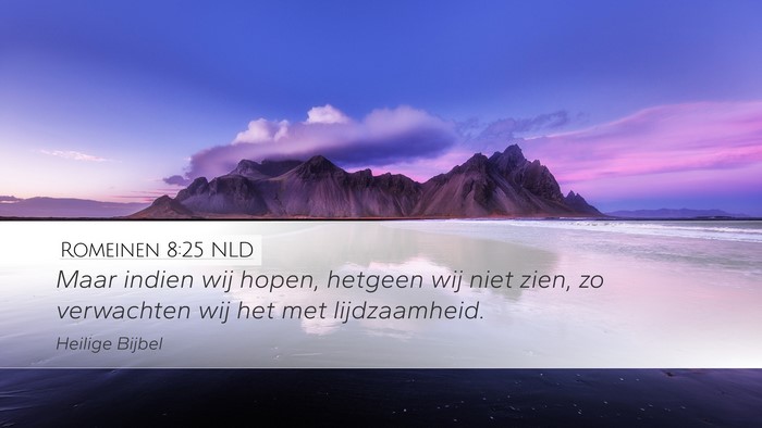 Romeinen 8:25 NLD Bible Verse Image