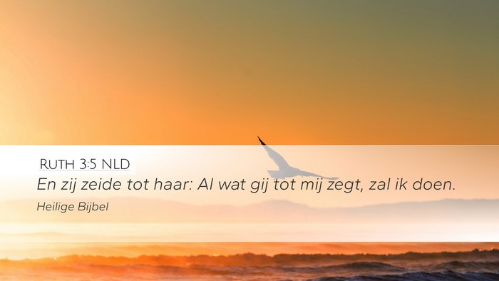 Ruth 3:5 NLD Desktop Wallpaper - En zij zeide tot haar: Al wat gij tot mij zegt, - Desktop Bible Verse Wallpaper