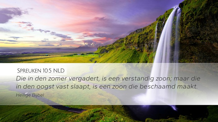 Spreuken 10:5 NLD Bible Verse Image