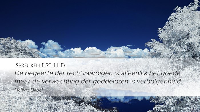 Spreuken 11:23 NLD Bible Verse Image