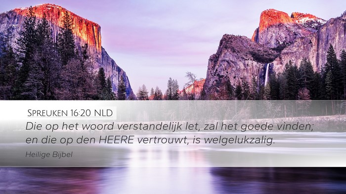 Spreuken 16:20 NLD Bible Verse Image