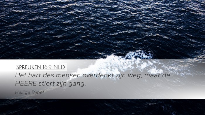Spreuken 16:9 NLD Bible Verse Image