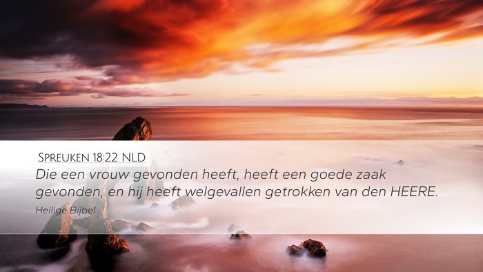Spreuken 18:22 NLD Bible Verse Image