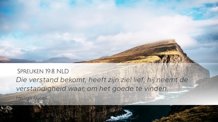 Spreuken 19:8 NLD Desktop Wallpaper - Die verstand bekomt, heeft zijn ziel lief; hij - Desktop Bible Verse Wallpaper