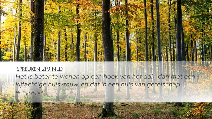 Spreuken 21:9 NLD Bible Verse Image