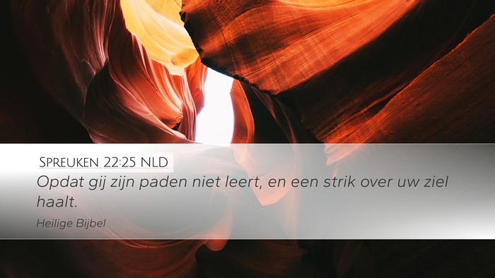 Spreuken 22:25 NLD Desktop Wallpaper - Opdat gij zijn paden niet leert, en een strik - Desktop Bible Verse Wallpaper