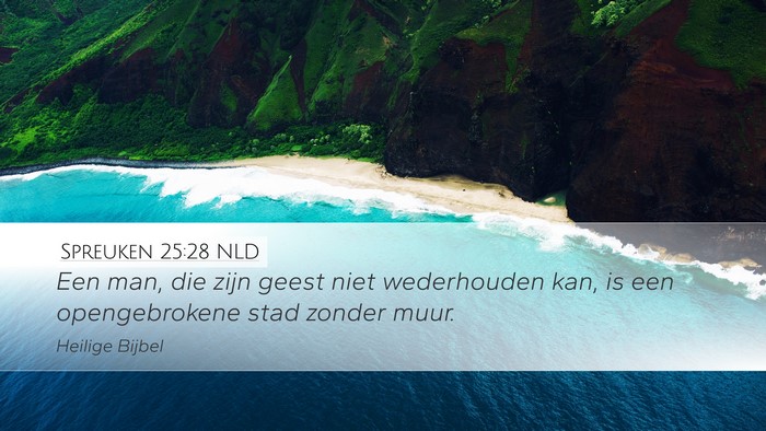 Spreuken 25:28 NLD Bible Verse Image