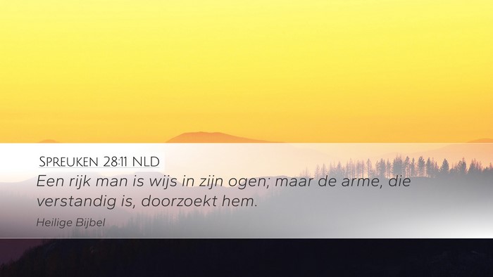 Spreuken 28:11 NLD Bible Verse Image
