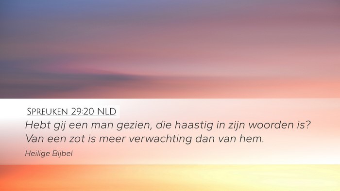 Spreuken 29:20 NLD Bible Verse Image