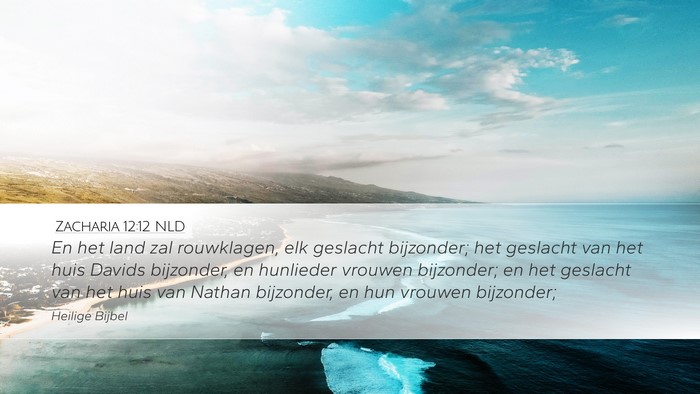 Zacharia 12:12 NLD Bible Verse Image