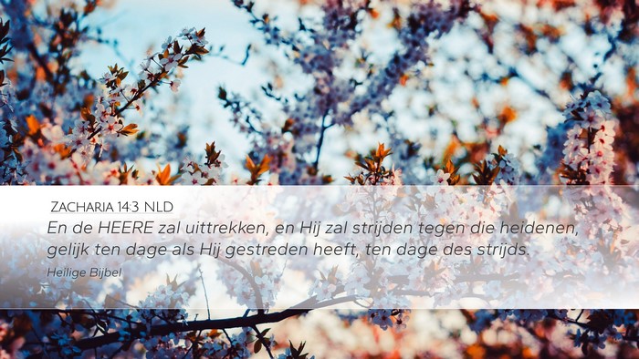 Zacharia 14:3 NLD Bible Verse Image